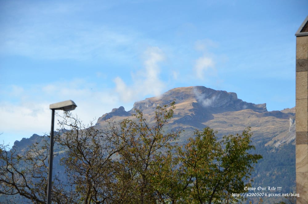 DSC_0313.jpg DSC_0313.jpg