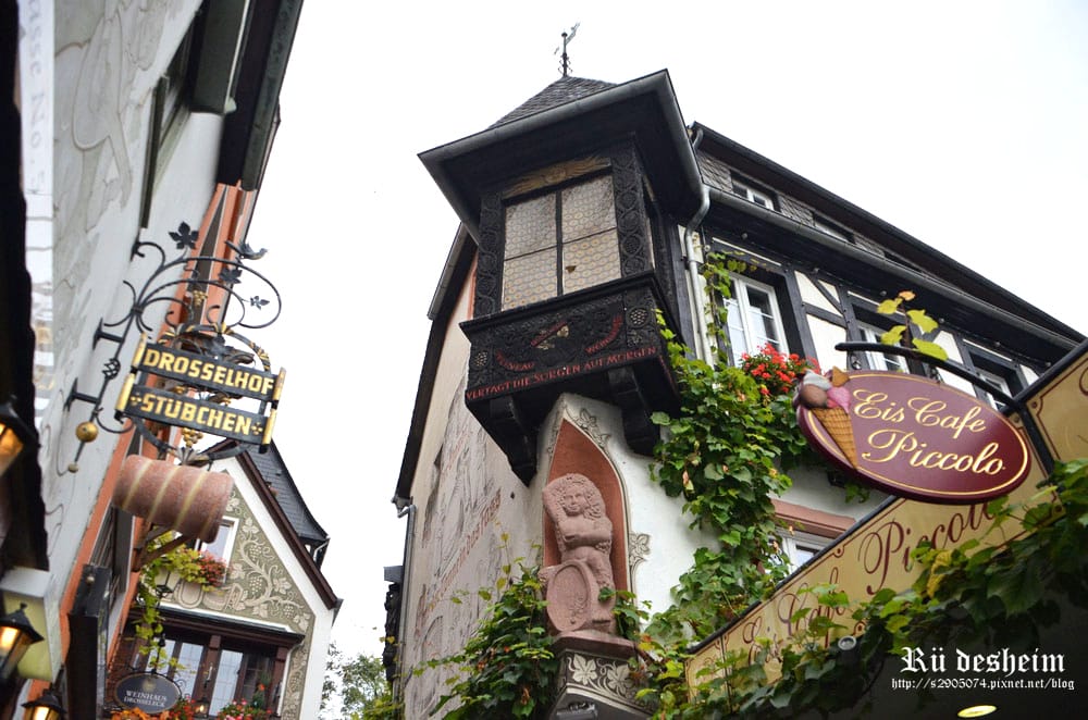DSC_0173.jpg DSC_0173.jpg