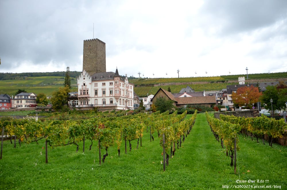 DSC_0212.jpg DSC_0212.jpg