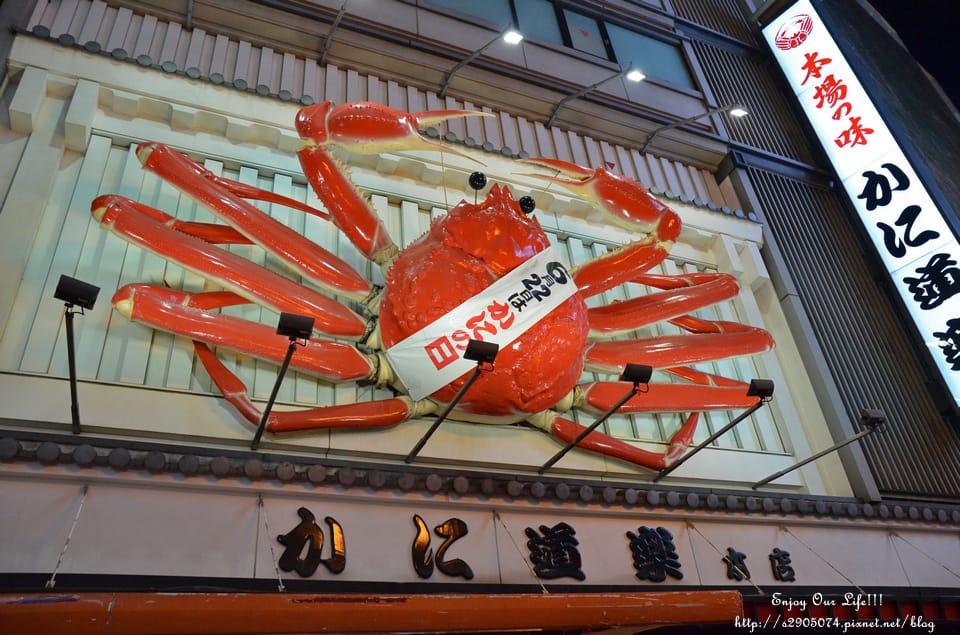 DSC_0313.jpg DSC_0313.jpg