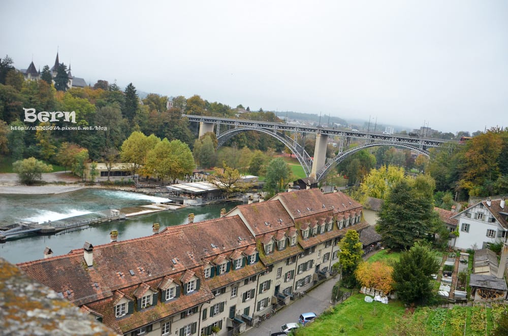 DSC_0039.jpg DSC_0039.jpg