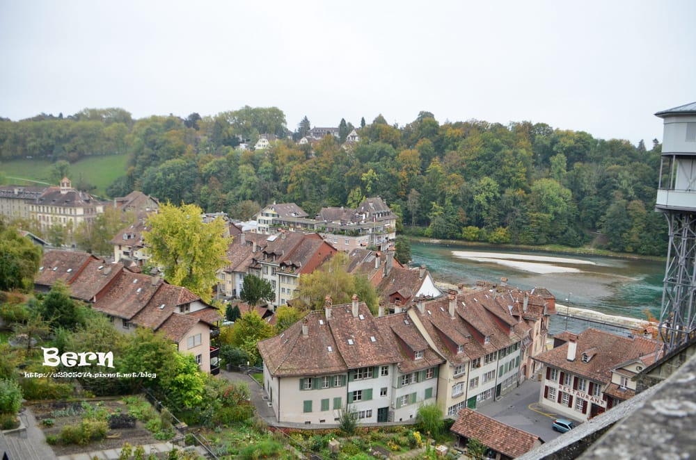 DSC_0025.jpg DSC_0025.jpg