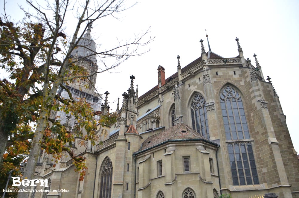 DSC_0021.jpg DSC_0021.jpg