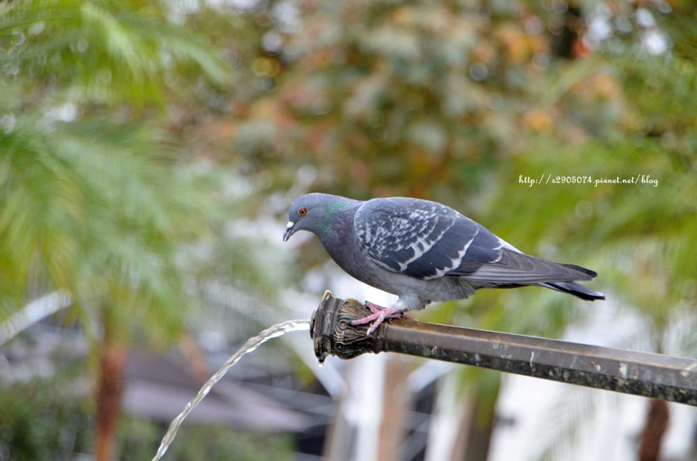 DSC_0226.jpg DSC_0226.jpg