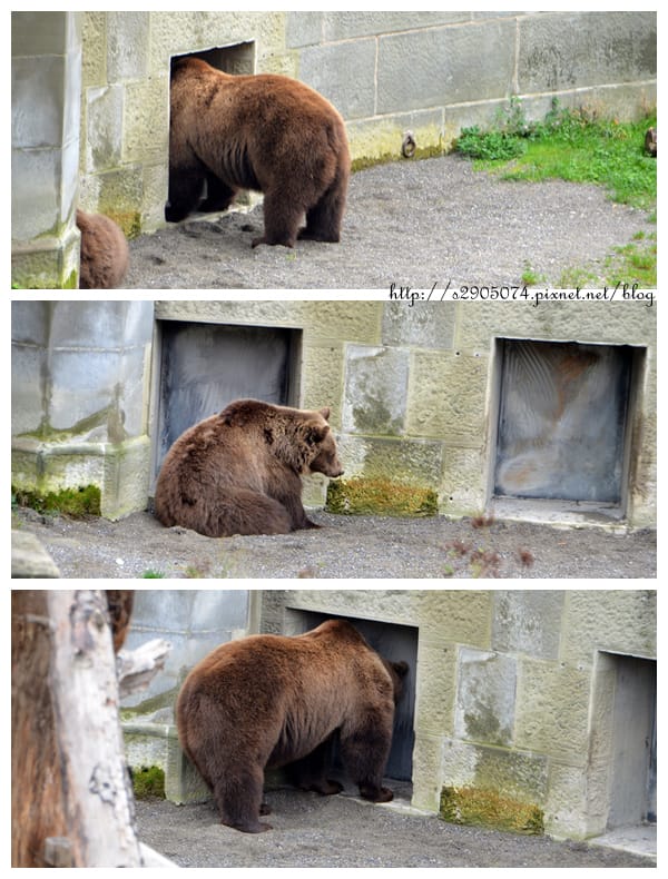 DSC_0971_1.jpg DSC_0971_1.jpg