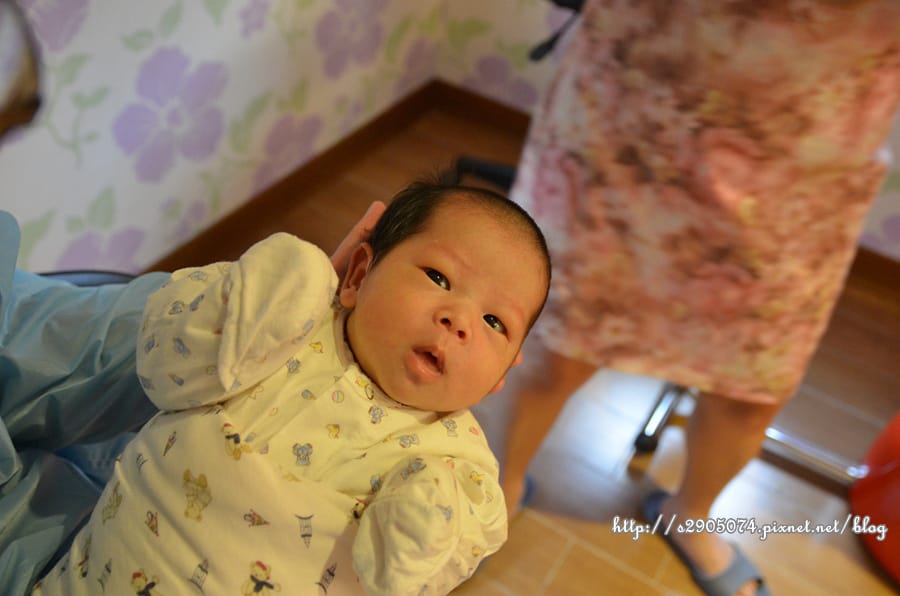 DSC_0497.jpg DSC_0497.jpg