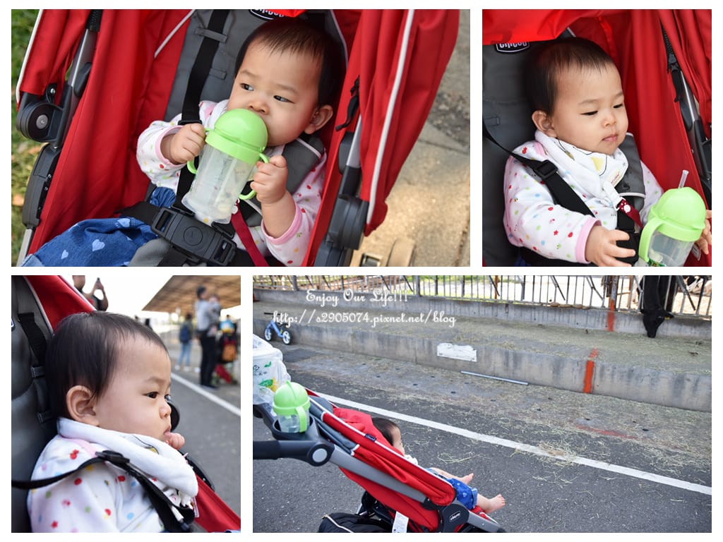 DSC_0168_副本.jpg