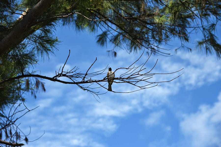 DSC_0488.jpg DSC_0488.jpg