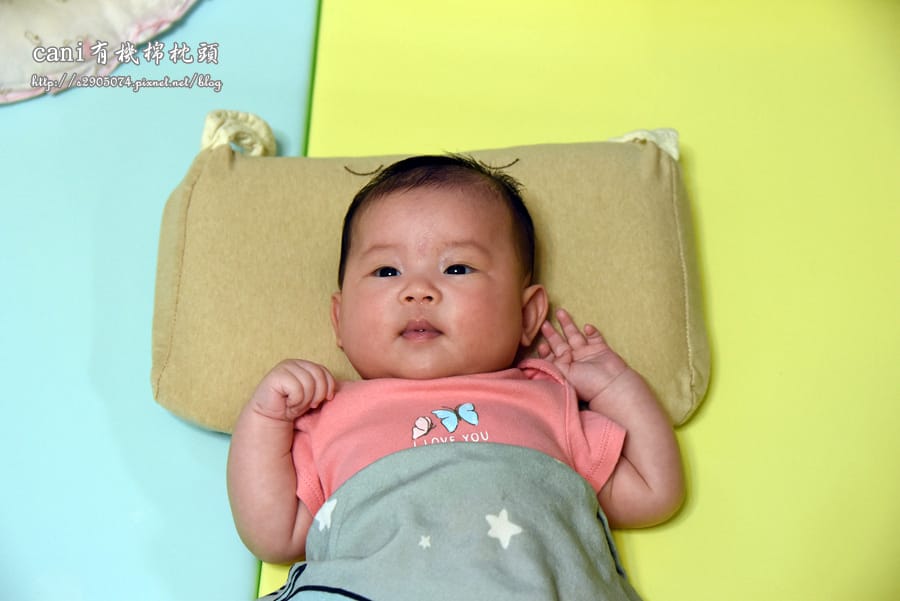 DSC_0100.jpg DSC_0100.jpg