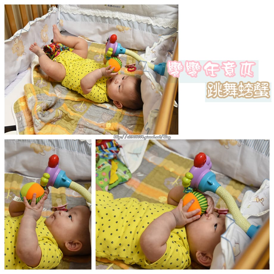 DSC_0095_副本.jpg DSC_0095_副本.jpg