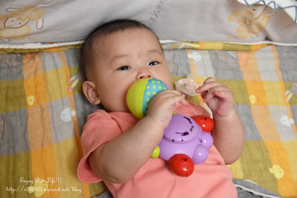 DSC_0116.jpg DSC_0116.jpg