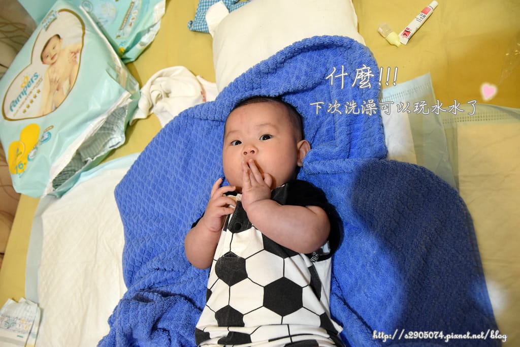 DSC_0395_副本.jpg DSC_0395_副本.jpg