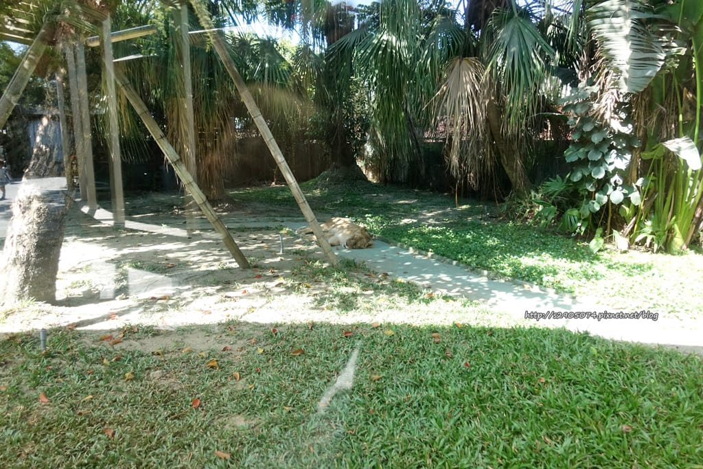 DSC01841.jpg DSC01841.jpg