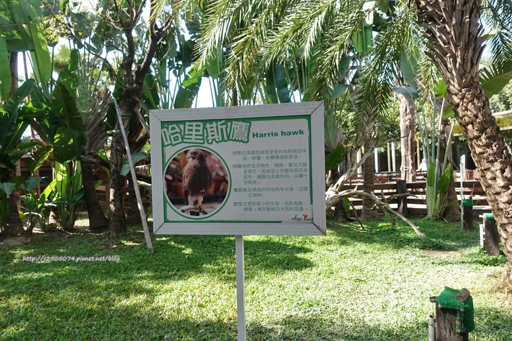 DSC01859.jpg DSC01859.jpg