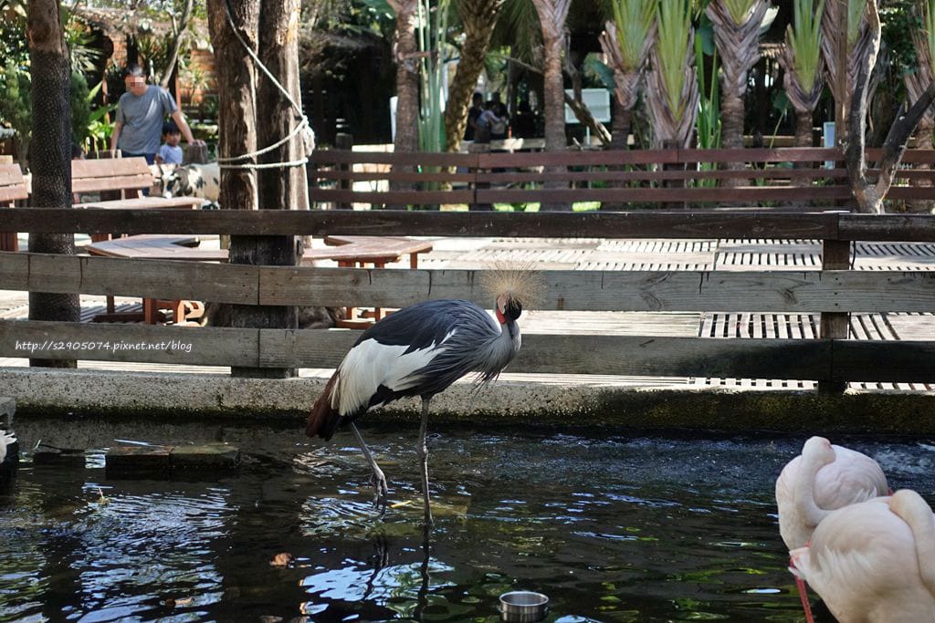 DSC01836.jpg DSC01836.jpg