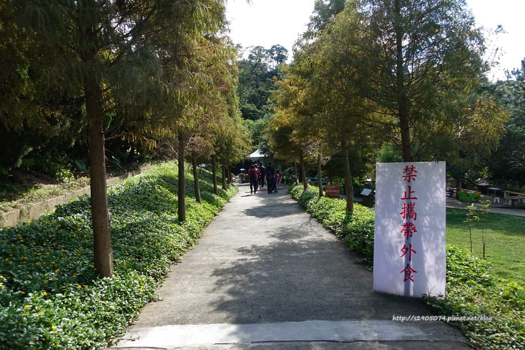 DSC01137.jpg DSC01137.jpg