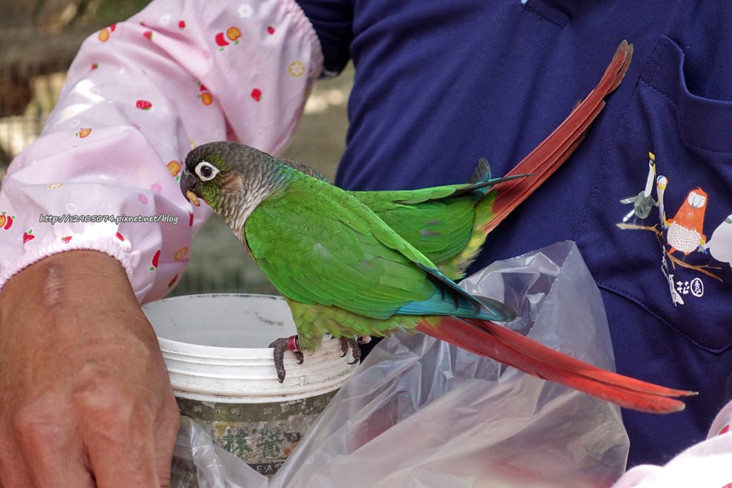 DSC01233.jpg DSC01233.jpg