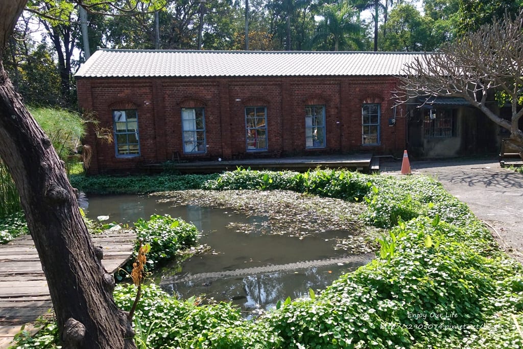 DSC09804.jpg DSC09804.jpg