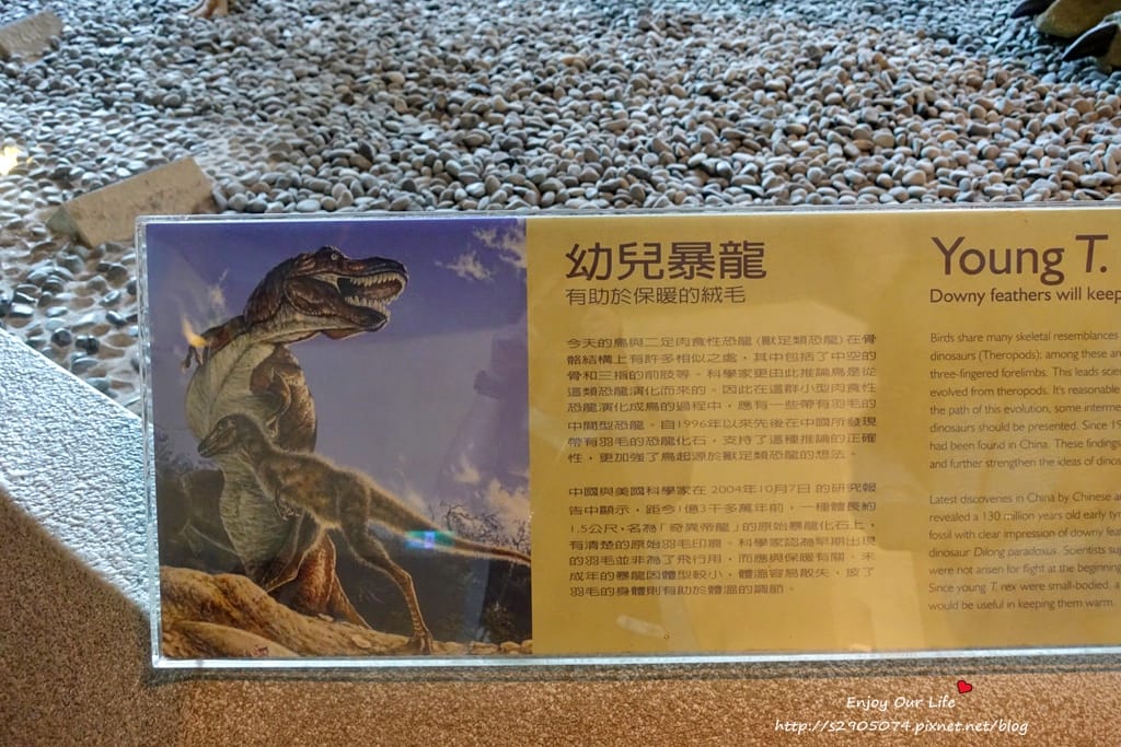 DSC07060.jpg DSC07060.jpg