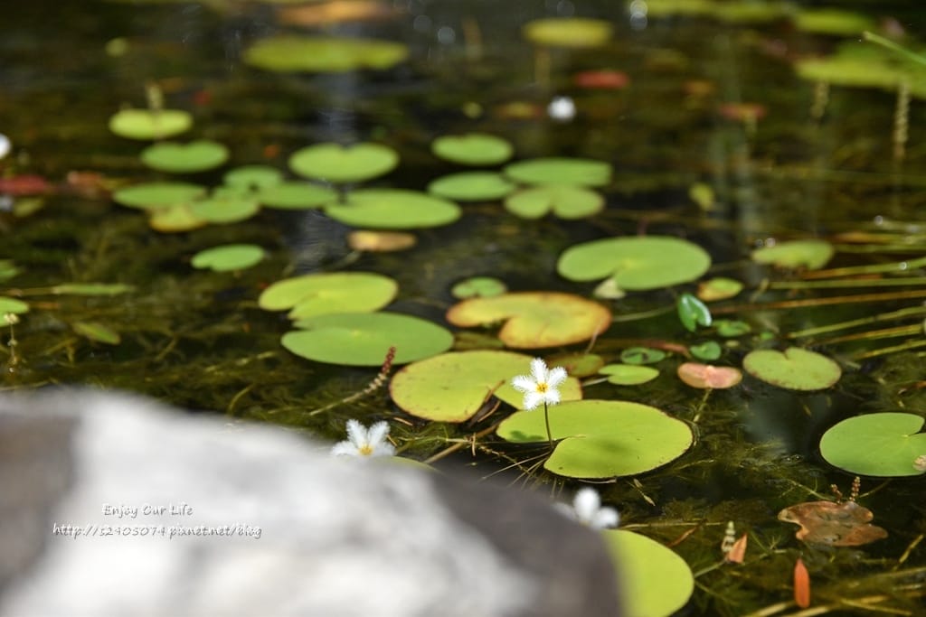 DSC_0284.jpg DSC_0284.jpg