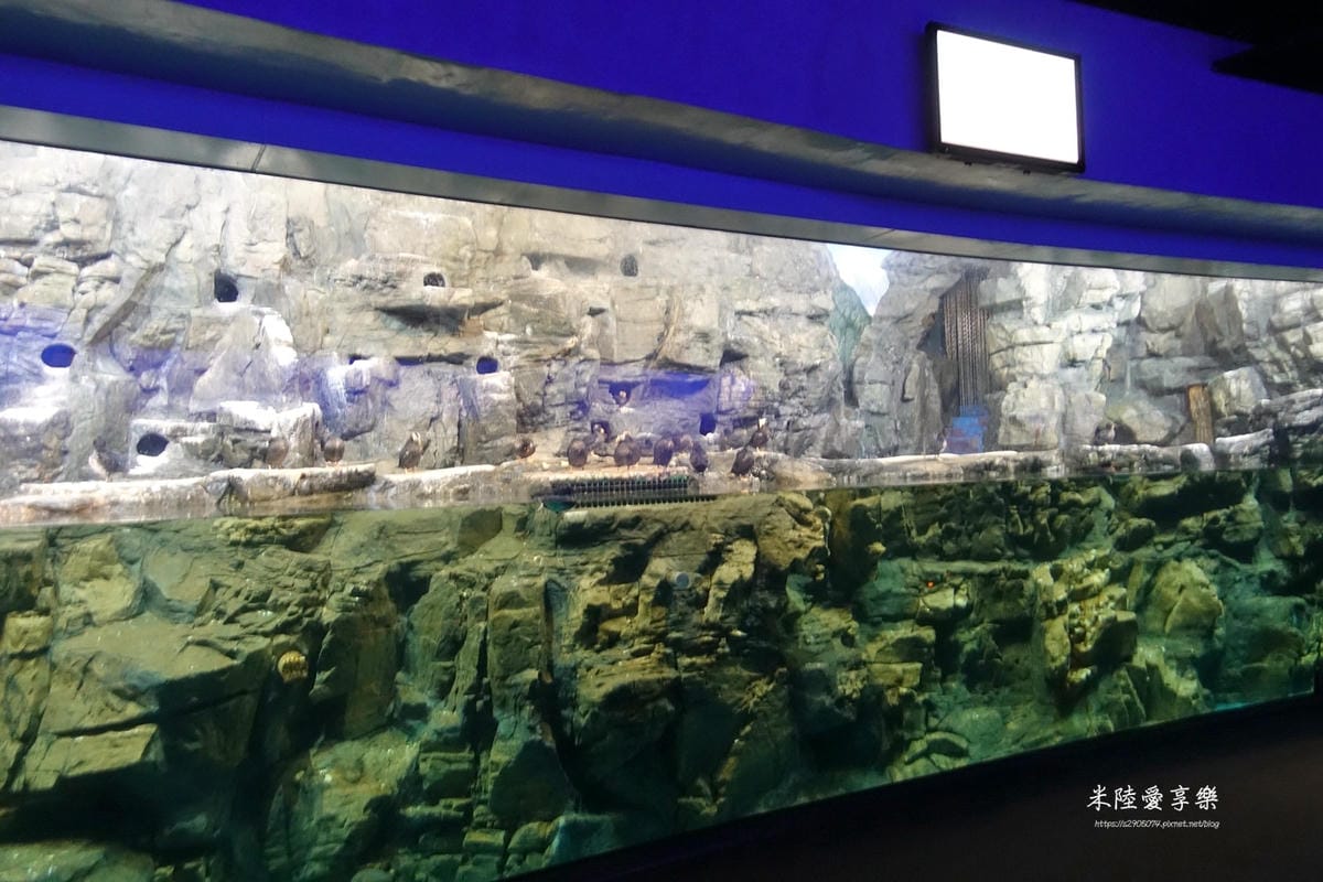 DSC07180.jpg DSC07180.jpg