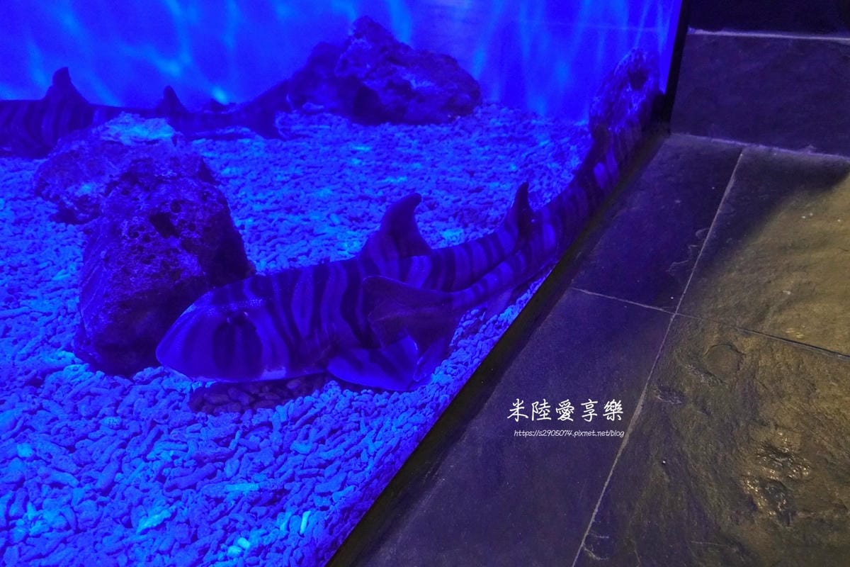 DSC07080.jpg DSC07080.jpg
