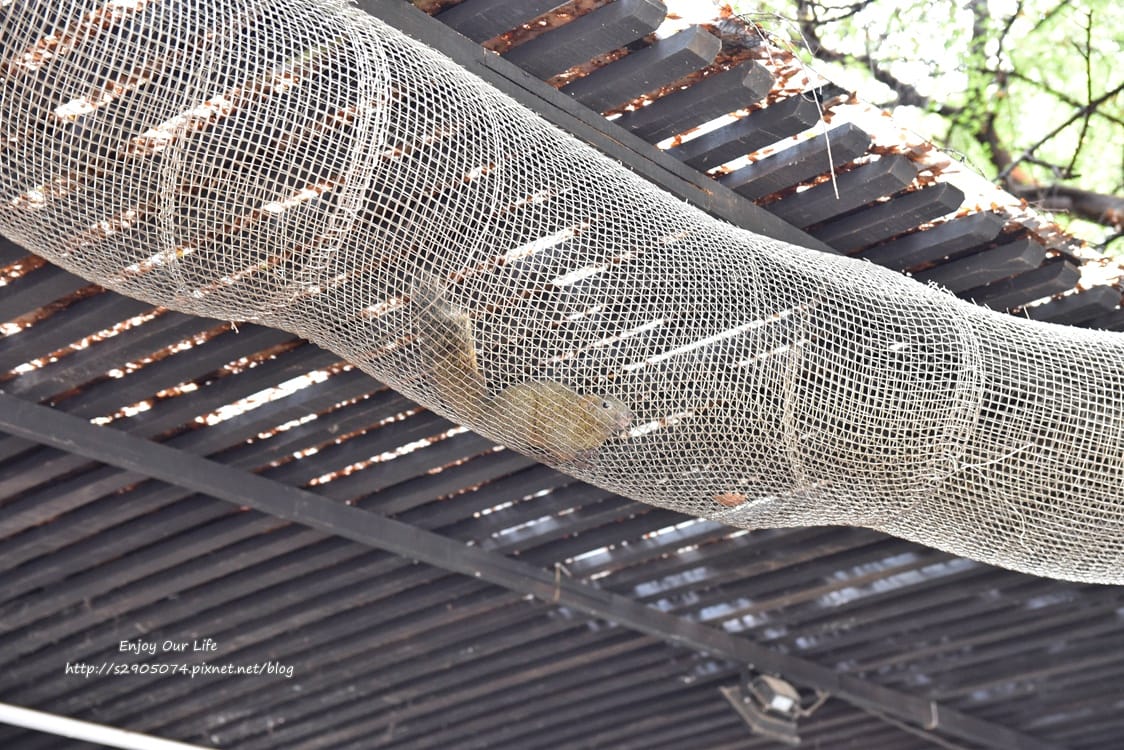 DSC_0073.jpg DSC_0073.jpg