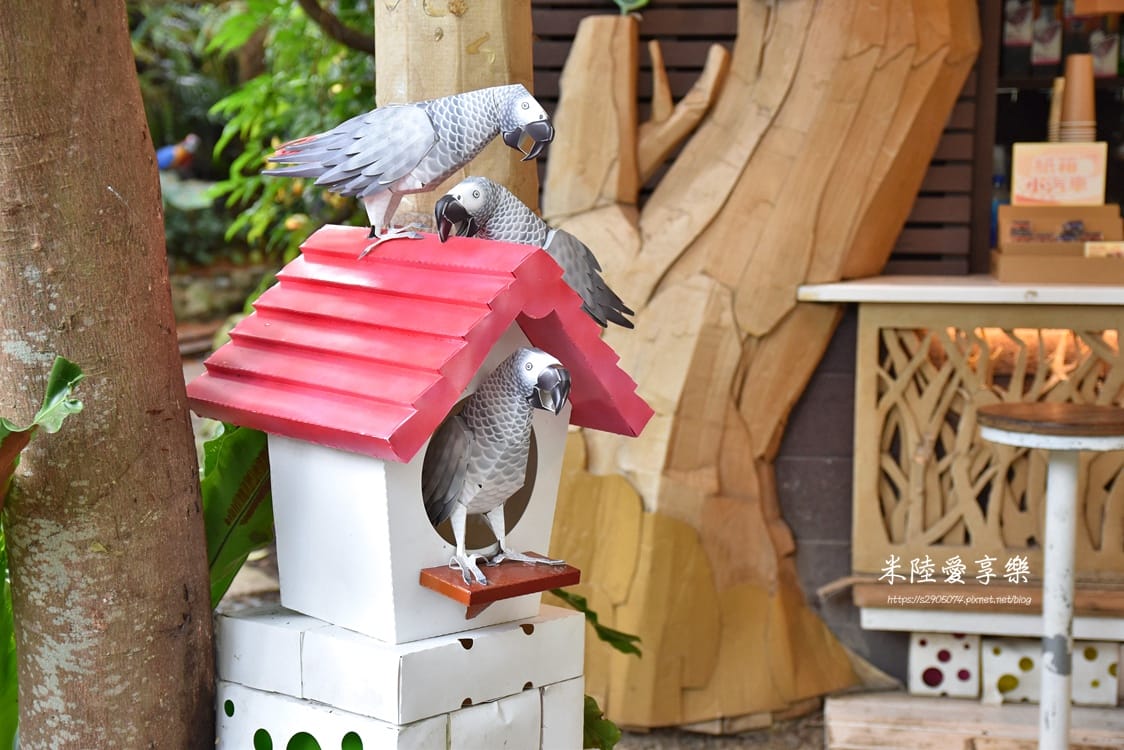 DSC_0016.jpg DSC_0016.jpg