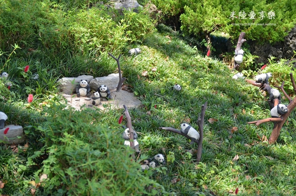 DSC_0280.jpg DSC_0280.jpg