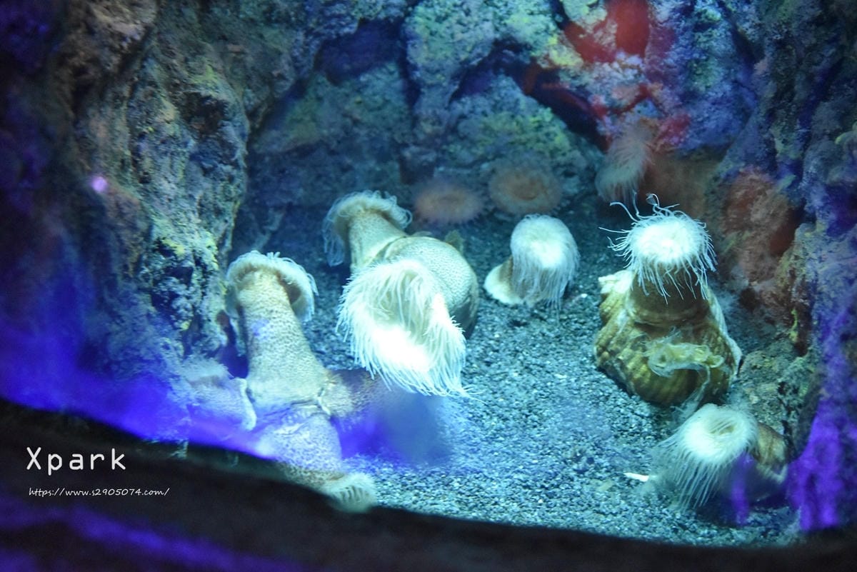 DSC_0325.jpg DSC_0325.jpg
