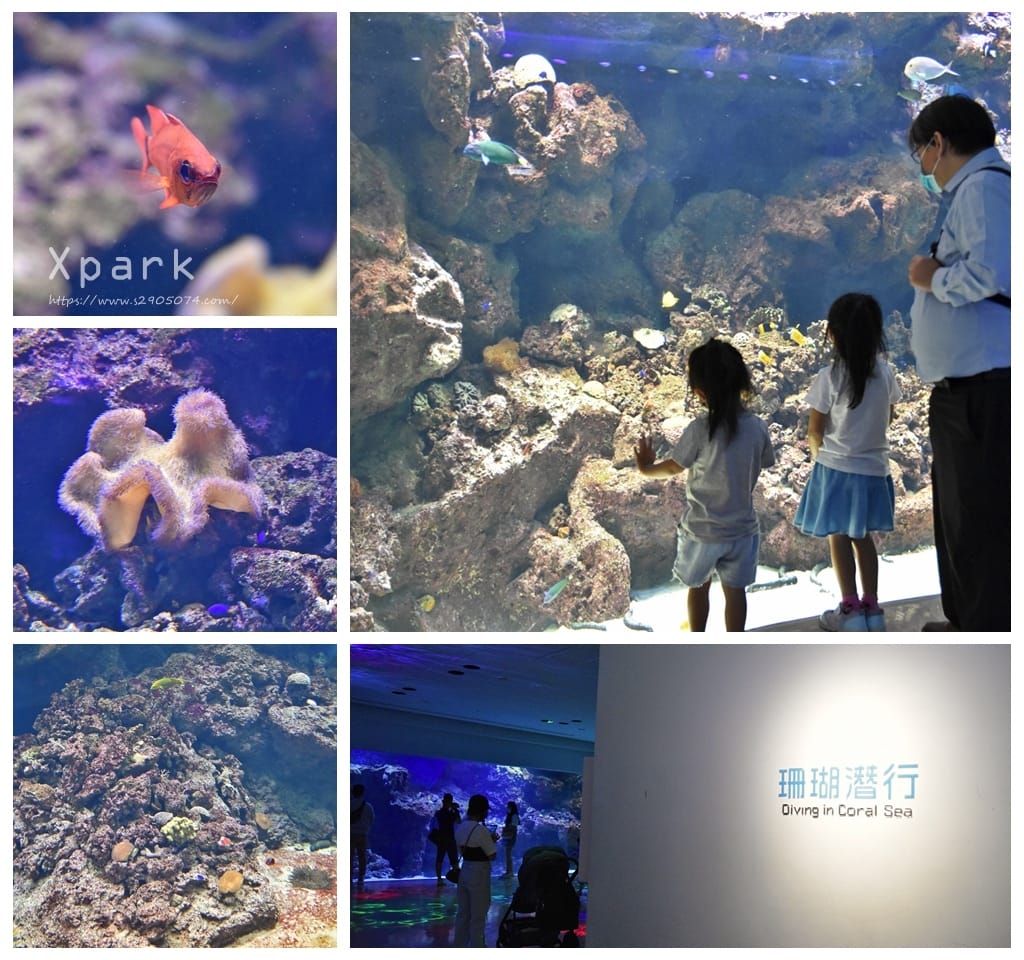 DSC_0132_副本.jpg DSC_0132_副本.jpg