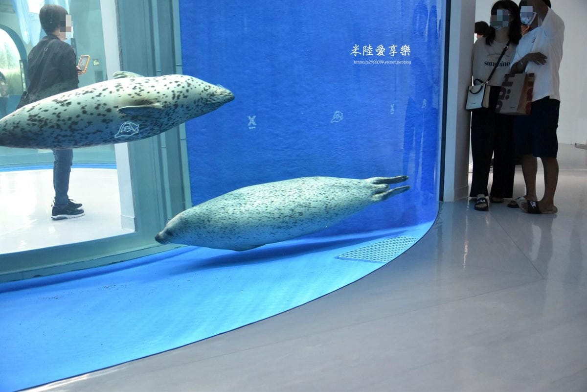 DSC_0268.jpg DSC_0268.jpg