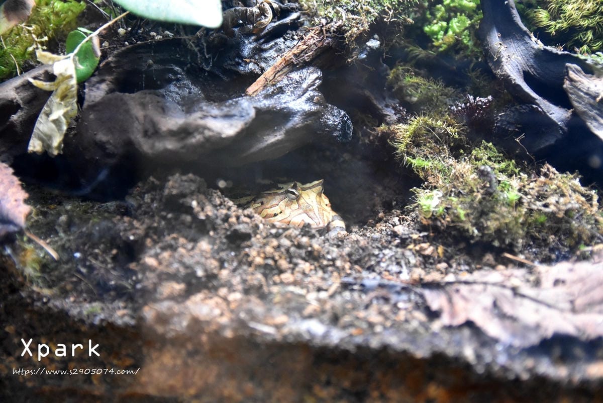 DSC_0214.jpg DSC_0214.jpg
