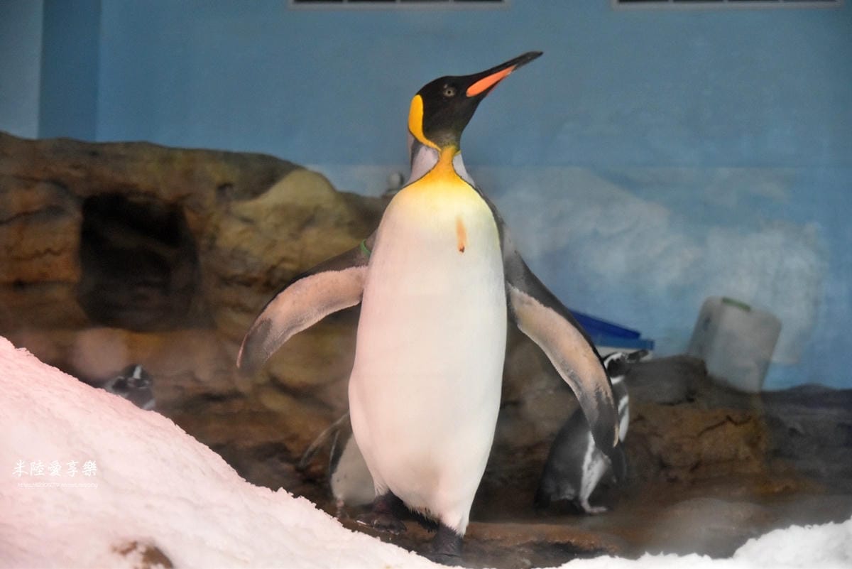 DSC_0455.jpg DSC_0455.jpg