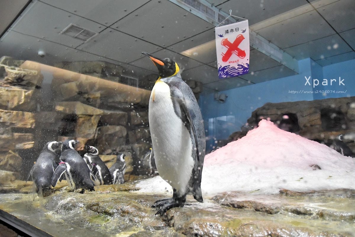 DSC_0468.jpg DSC_0468.jpg