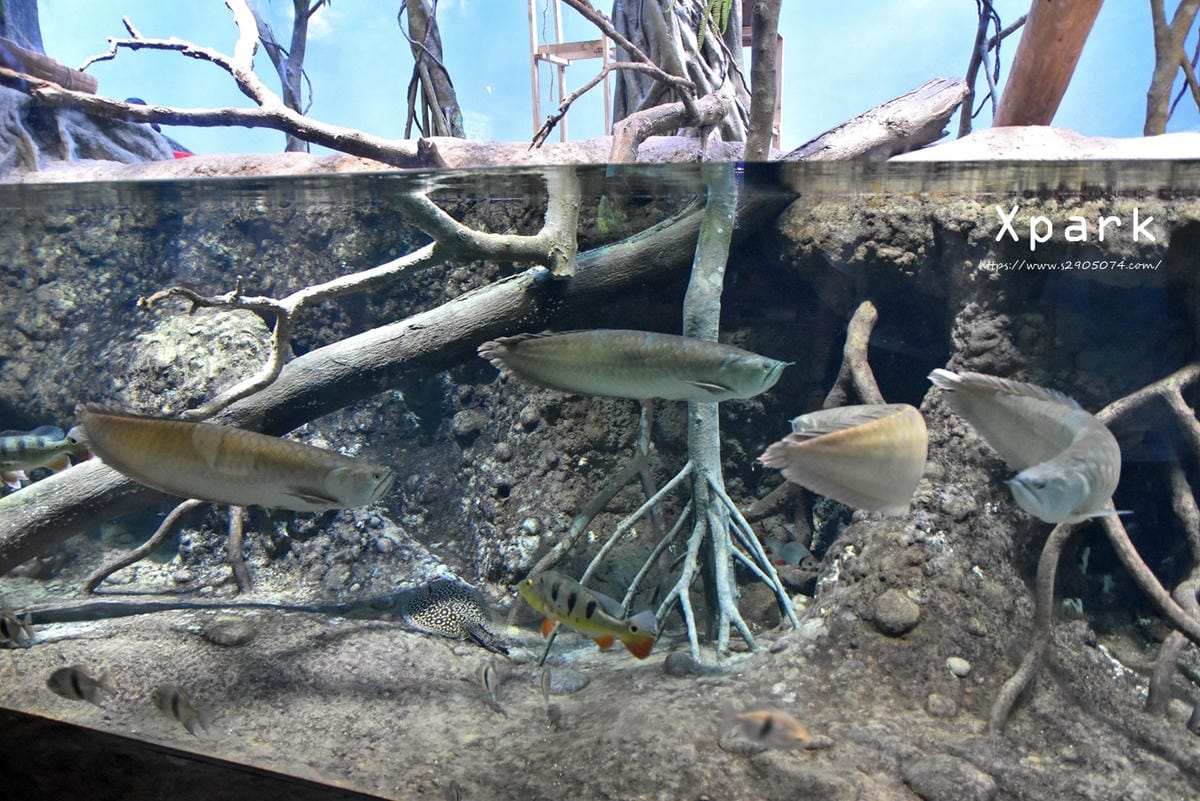 DSC_0229.jpg DSC_0229.jpg