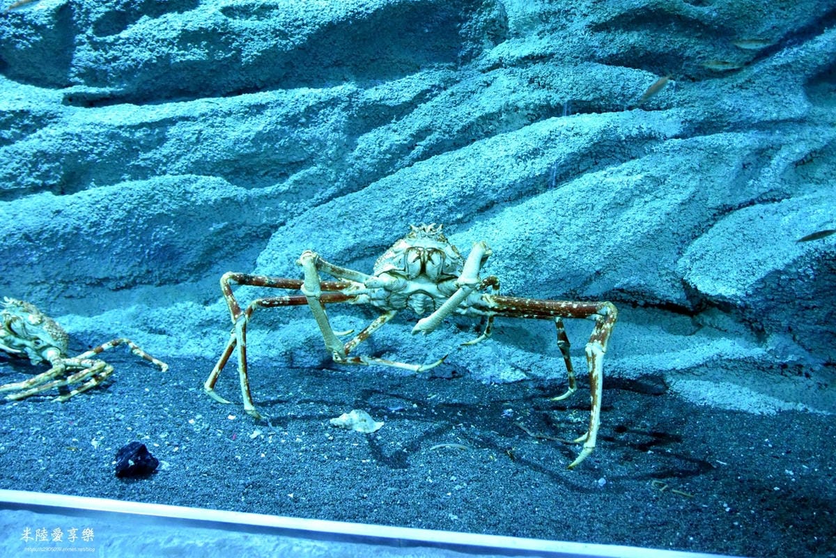 DSC_0333.jpg DSC_0333.jpg