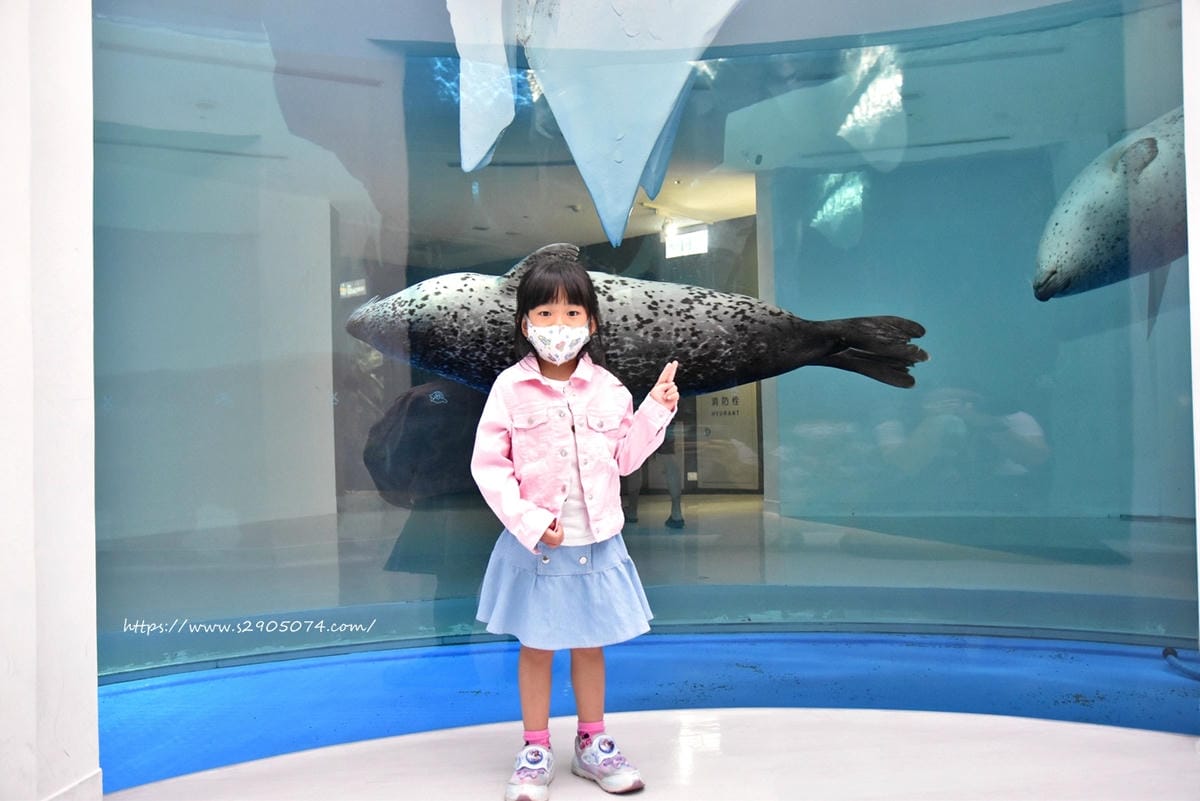 DSC_0272.jpg DSC_0272.jpg