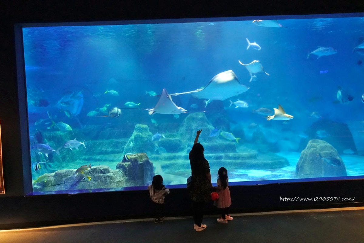 DSC04484.jpg 花蓮遠雄海洋公園遊行-探險島水族館