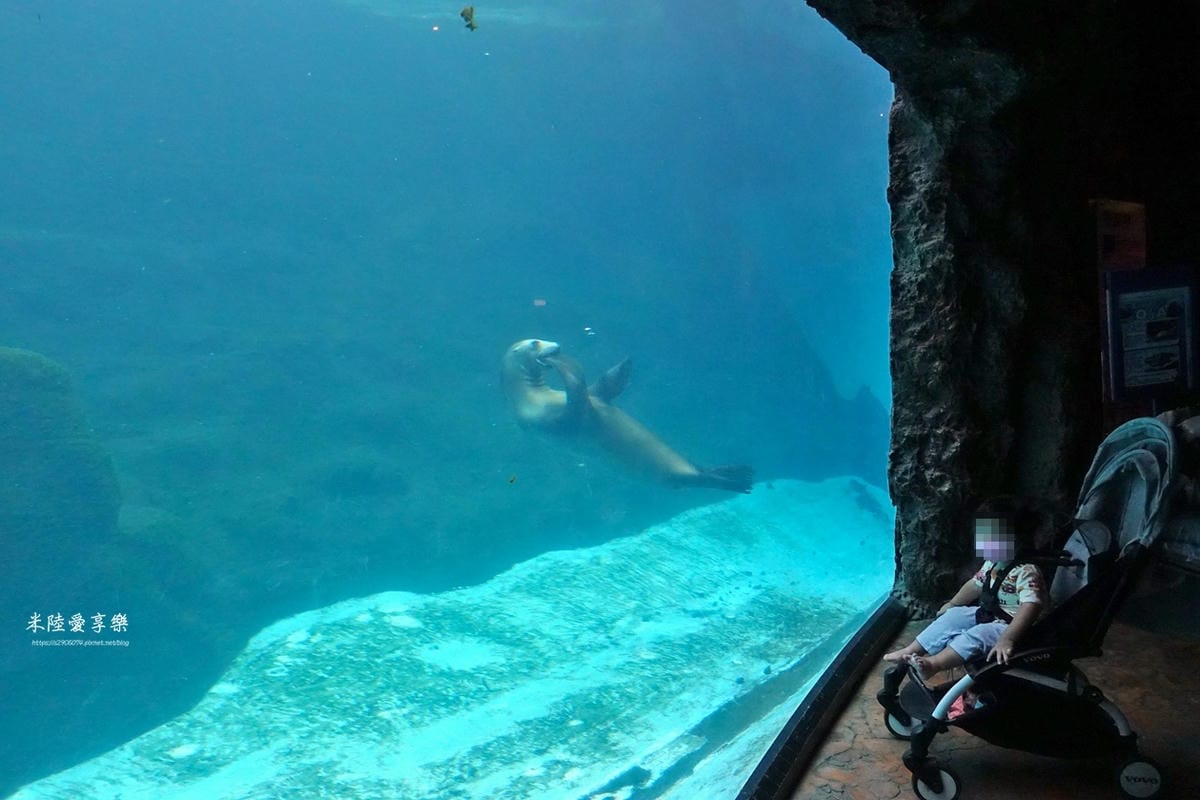 DSC04381.jpg 花蓮遠雄海洋公園遊行-探險島水族館