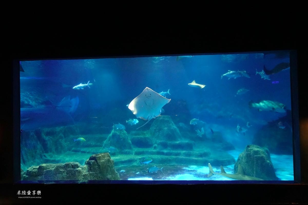 DSC04468.jpg 花蓮遠雄海洋公園遊行-探險島水族館