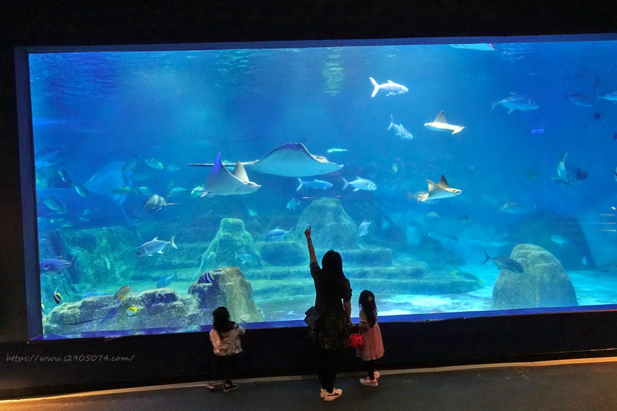 DSC04477.jpg 花蓮遠雄海洋公園遊行-探險島水族館