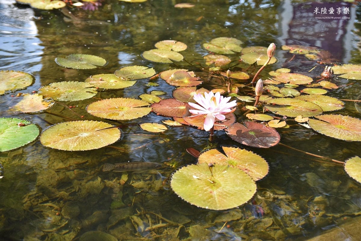 DSC_0058.jpg DSC_0058.jpg
