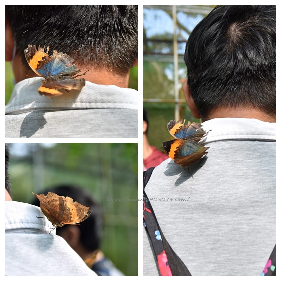 DSC_0117_副本.jpg DSC_0117_副本.jpg