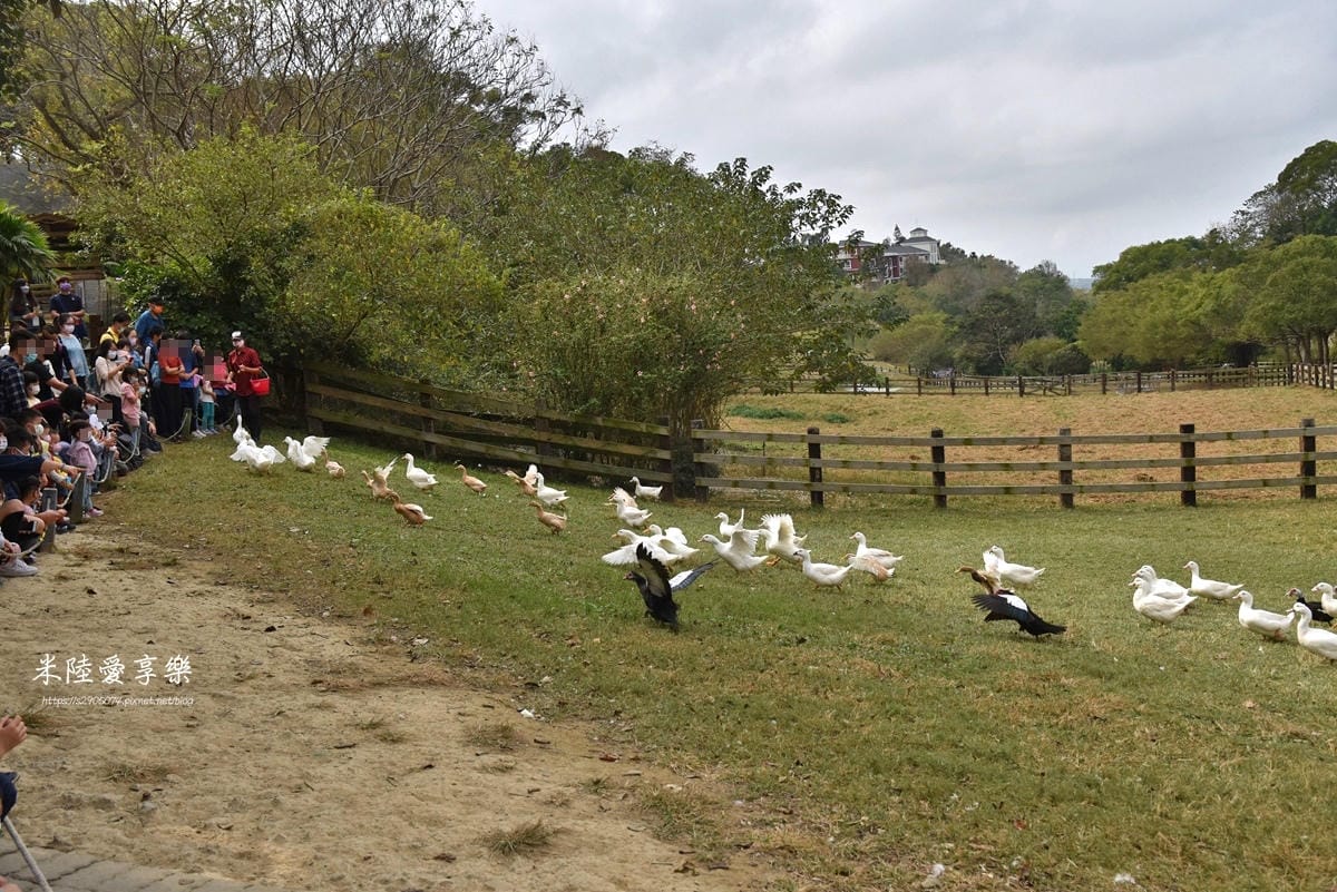 DSC_0367.jpg DSC_0367.jpg