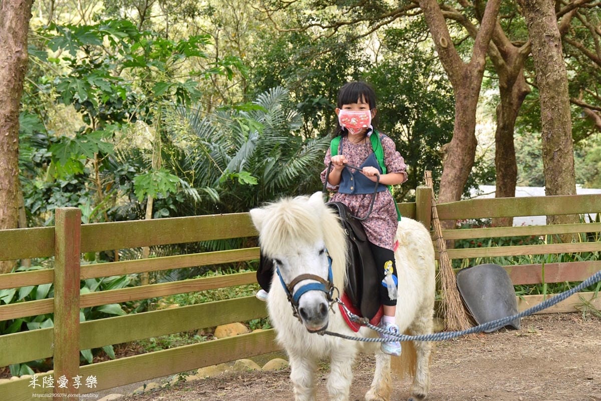DSC_0309.jpg DSC_0309.jpg