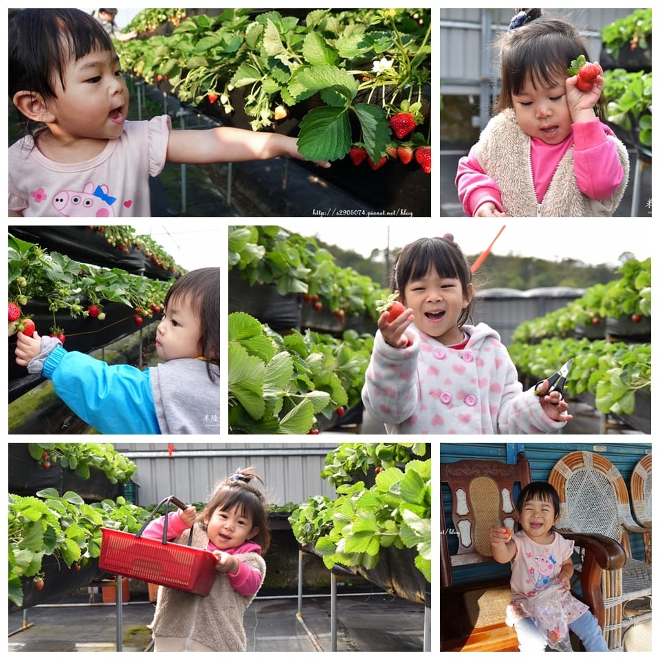 DSC_0393_副本.jpg DSC_0393_副本.jpg