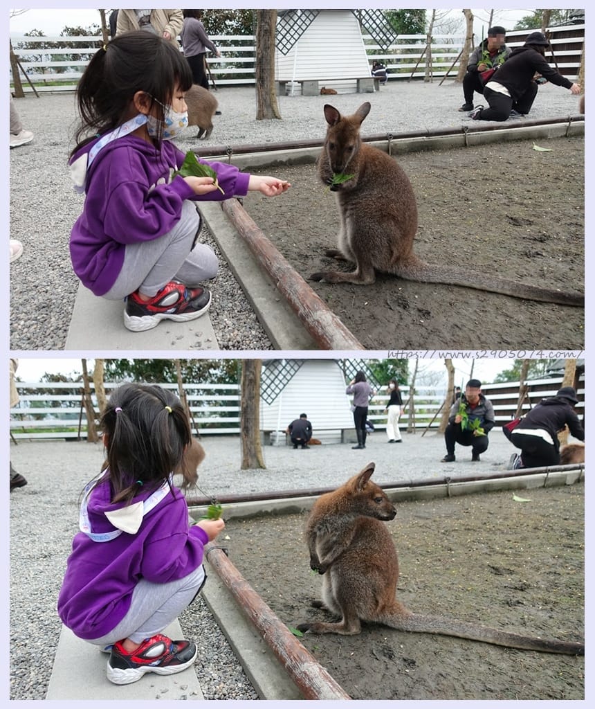 DSC06534_副本.jpg DSC06534_副本.jpg