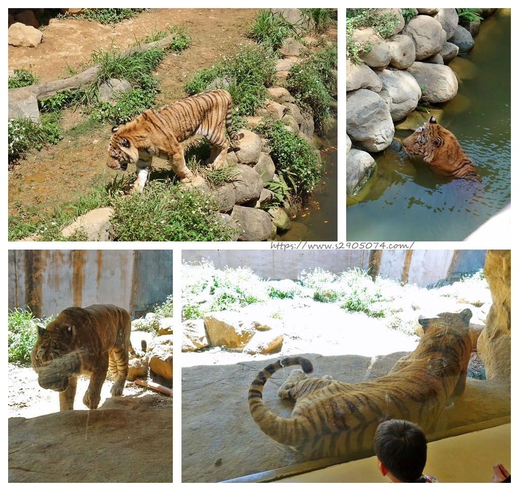 DSC03087_副本.jpg DSC03087_副本.jpg
