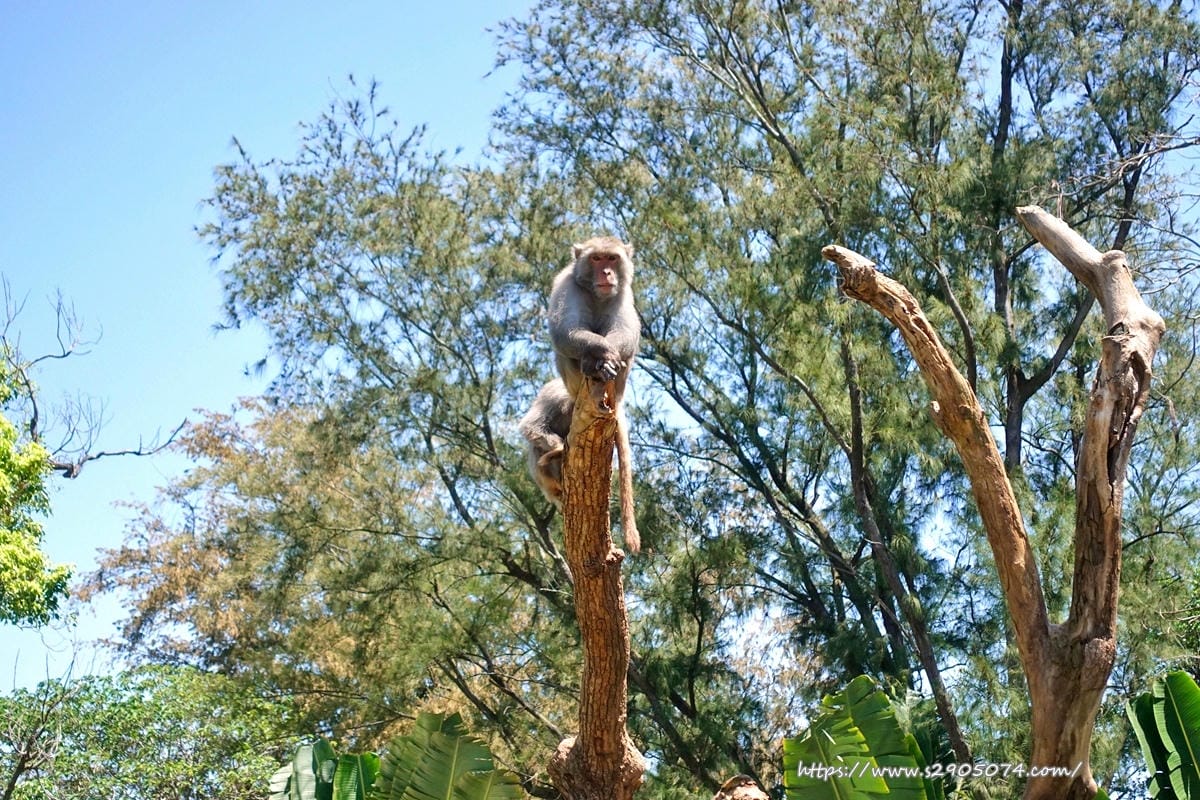 DSC08837.jpg 新竹市立動物園